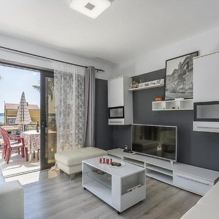 Apartment Zak Novigrad  Екстер'єр фото